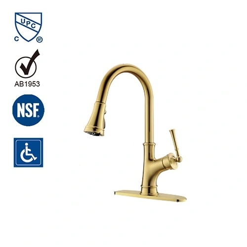Gold Kitchen Faucet with Pull Down Sprayer