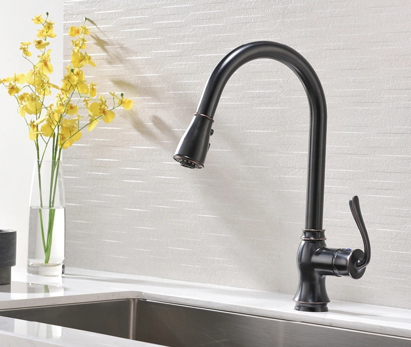 Premium Black All-in-One Pull-down Faucet